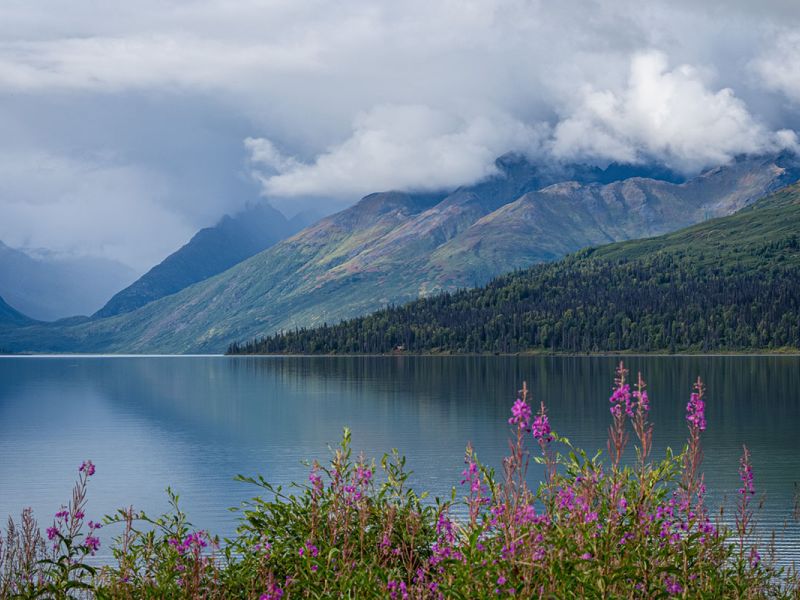 Lakeshore Views