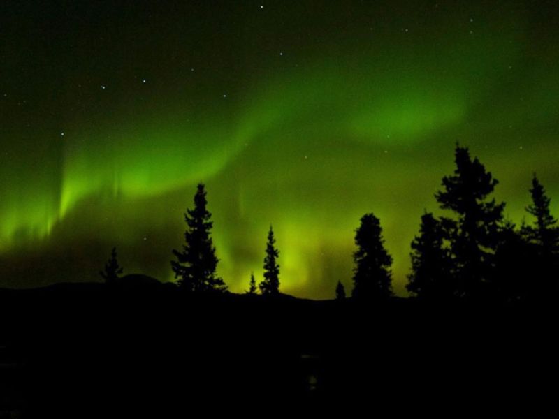Northern Lights Denali National Park