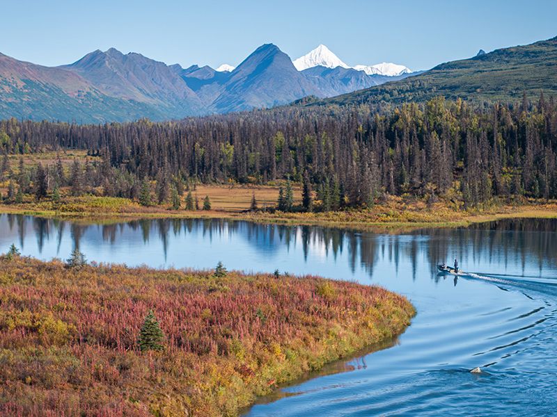 Fishing Denali National park