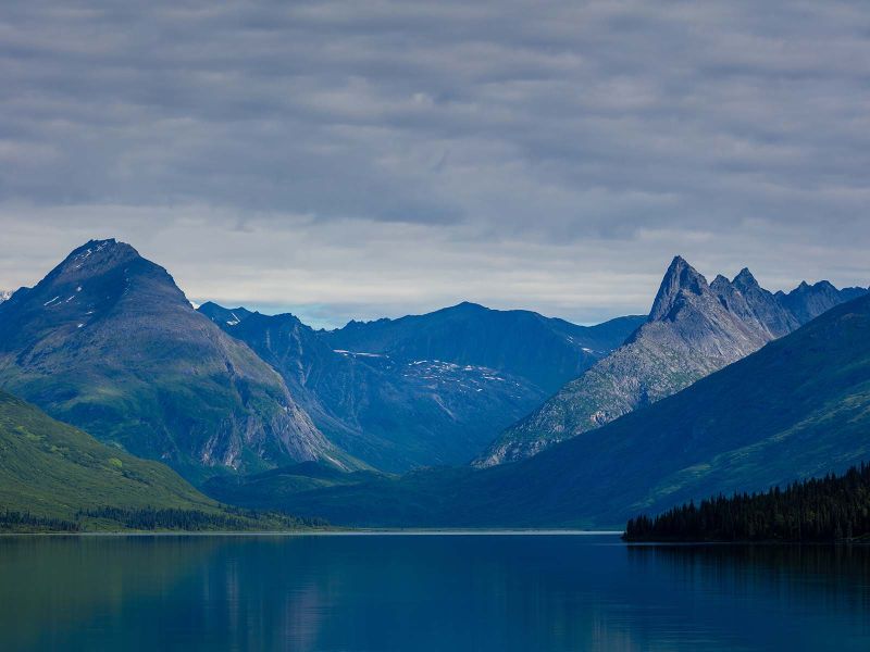 Birding by boat on Chelatna Lake, overlooking Denali