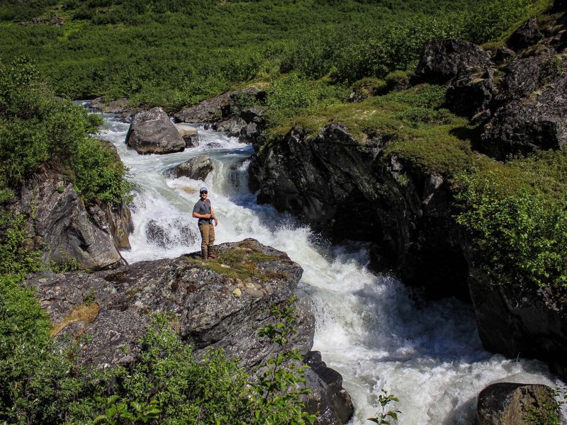 Waterfall in Denali National Park 