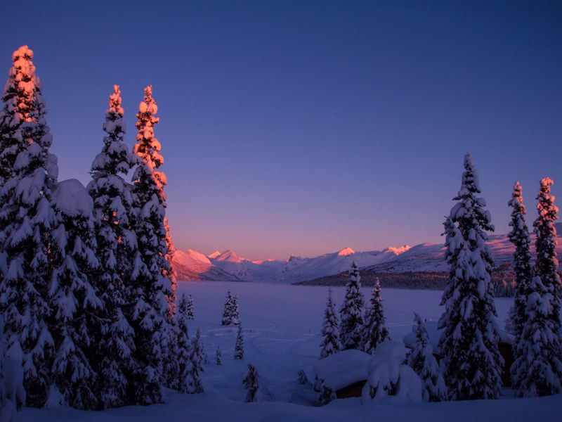 Birding at Sunset on Chelatna Lake in the Winter 