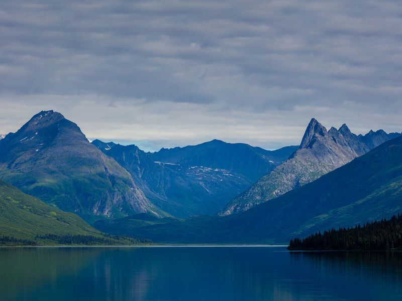 Birding by boat on Chelatna Lake, overlooking Denali 